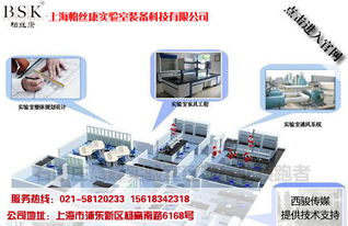 上海实验室设计与施工 打造高效安全的科研环境